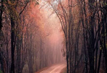 C7娱乐：消息人士透露舒马赫近况：完全依赖护理，再也无法用语言表达.