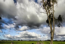 C7娱乐：消息人士透露舒马赫近况：完全依赖护理，再也无法用语言表达.