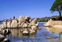 勒布朗-詹姆斯应该在洛杉矶湖人队立雕像吗.